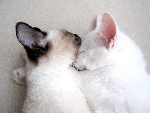 开云网页版登录入口-VR电竞新玩法引领未来,沉浸式体验震撼来袭,电竞主机vr游戏平台