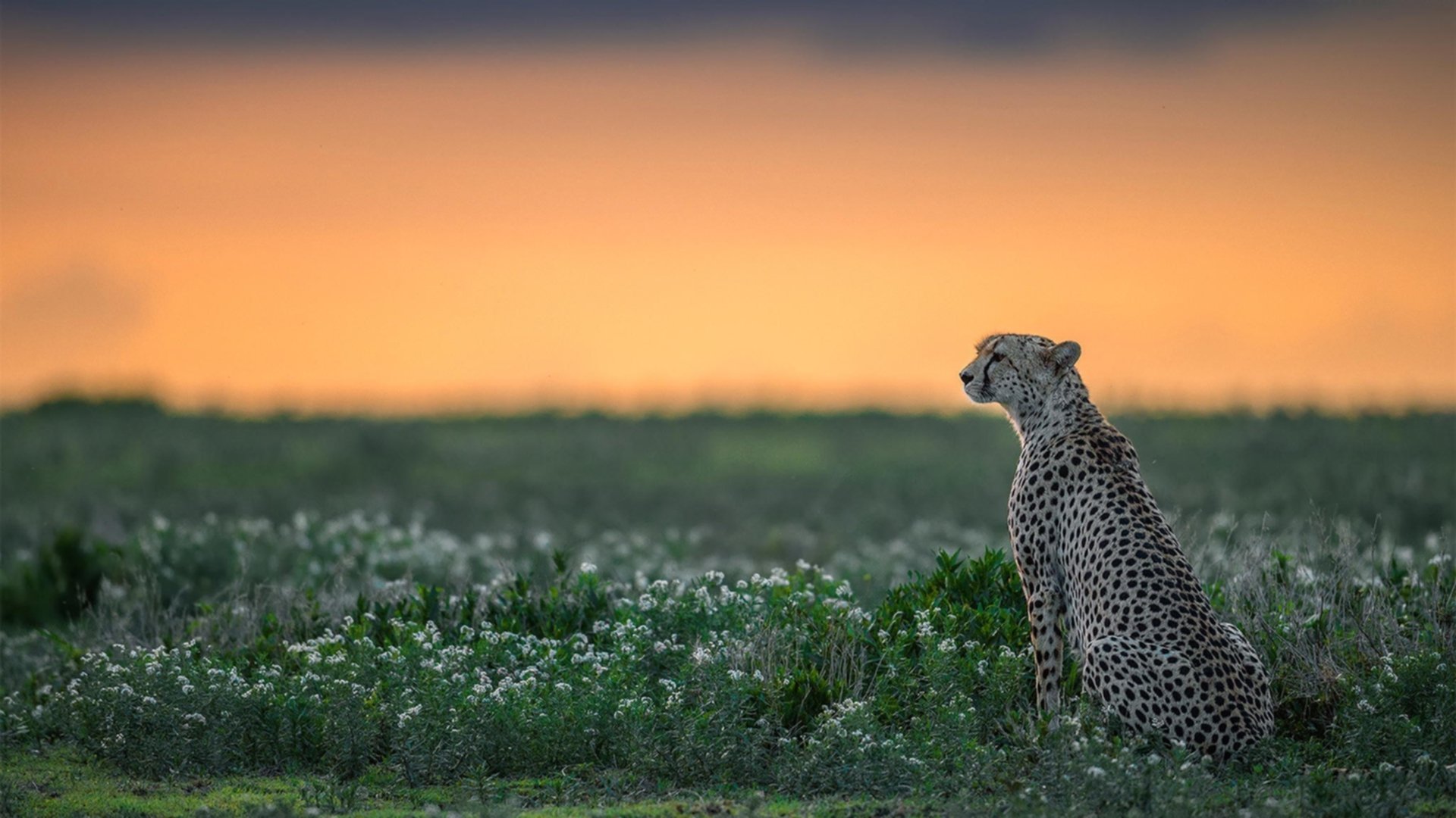 kaiyun开云·官方网站-《电竞硬件设备不断创新，专业电竞装备成为趋势》，电竞设备测评