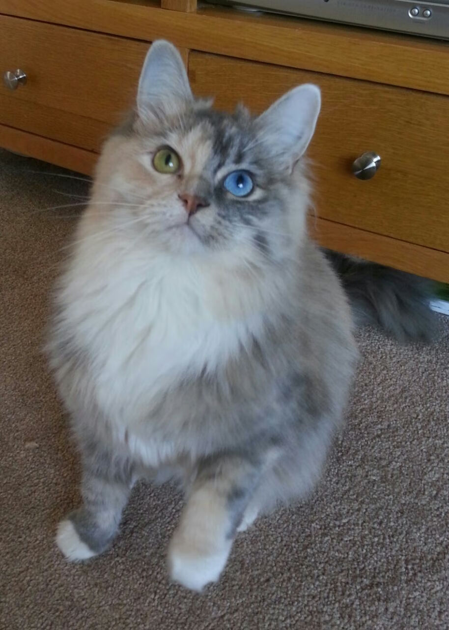 kaiyun开云·官方网站-国际拳击锦标赛中国队夺得多枚金牌，国际拳击锦标赛中国队夺得多枚金牌的是谁