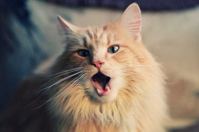 kaiyun体育app-墨西哥队在巴黎奥运会比赛中展现出高效的传球配合,奥运墨西哥vs巴西直播