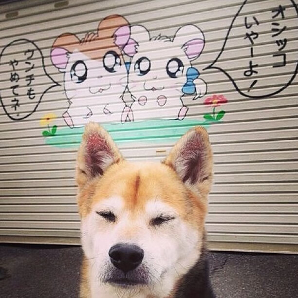 开云入口-日本男足奥运赛场再创历史，日本男足奥运会名单