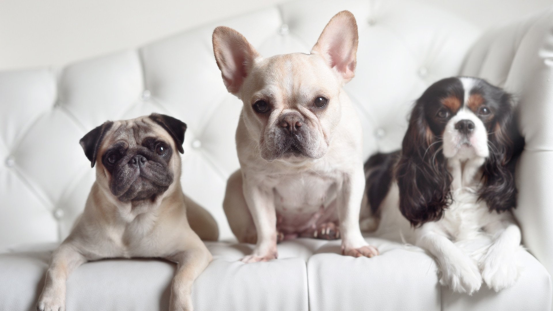 kaiyun中国官方网站-青少年篮球政策持续优化,青训基地数量激增,青少年篮球训练营