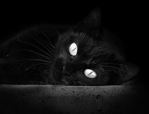 KAIYUNAPP-中场逼抢是否造成整体进攻连贯性下降，中场突击技术