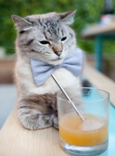 kaiyun体育综合-公牛球队年轻球员连续突破自我,公牛队知名球员