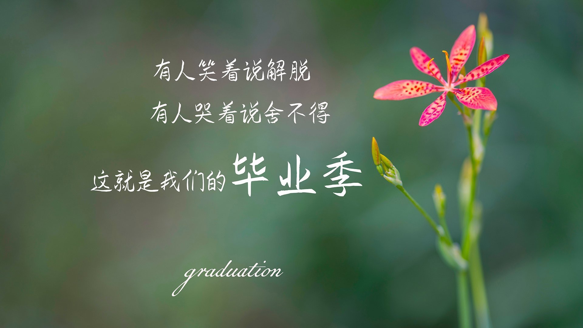 开云官方网站-北京国安锋线射手关键时刻发威,北京国安打法