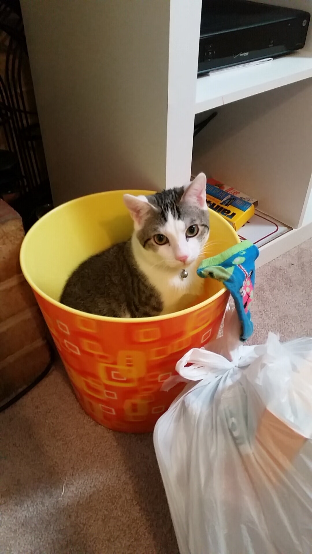 开云网页版登录入口-捷克国家队斩获欧洲杯正赛资格,气势如虹,捷克 欧洲杯大名单