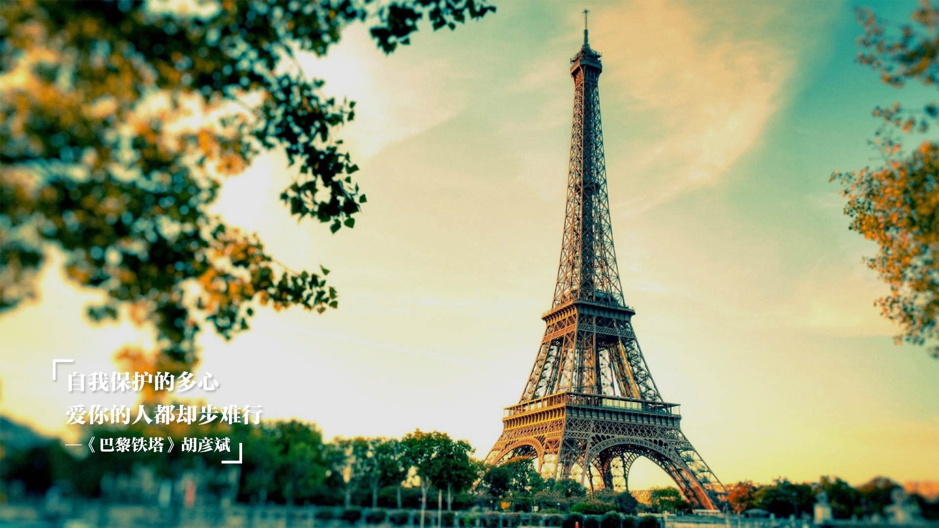 开云体育APP下载-陕西男篮合力作战，夺取关键胜利，陕西男篮cba