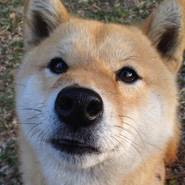 kaiyun中国官方网站-世界杯中国女足迎战 战术部署展现变化，中国女足世界杯亚军视频