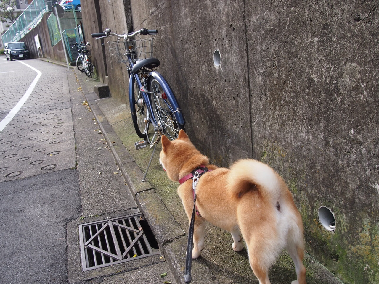 开云·体育官网APP下载-冬奥训练加入体温调节实验性项目，冬奥会 训练