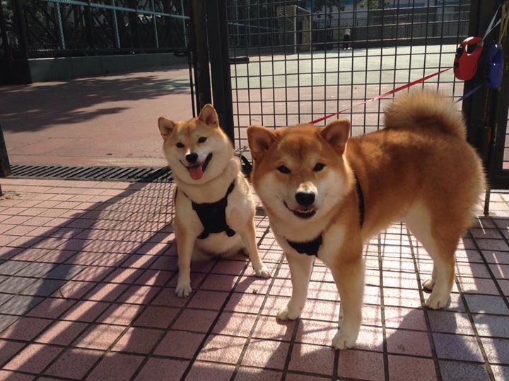 开云网页版登录入口-奥预赛国足逆袭 热血拼搏展现精神,奥预赛男足