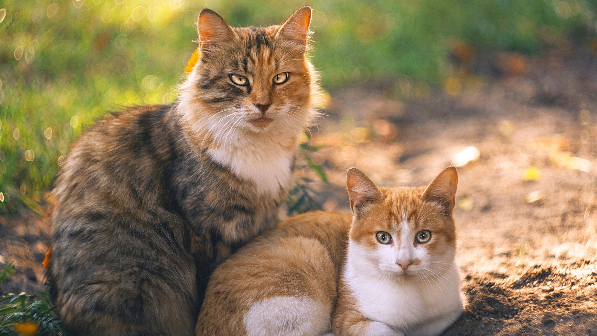 开云·Kaiyun网页版-英超豪门争辉:每场比赛都堪比决赛,英超豪门多